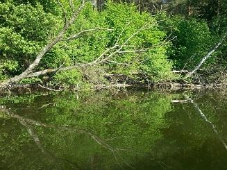 JEZIORO KALWA
